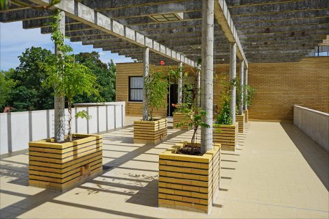 Tout savoir sur les pergolas